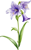 AI generated Watercolor paintings of Harebell flowers. Ai-Generated. png