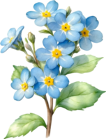 AI generated Watercolor paintings of Wood forget-me-not flowers. Ai-Generated. png