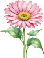 AI generated Watercolor paintings of Daisy and flowers. Ai-Generated. png