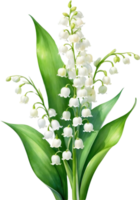 AI generated Watercolor paintings of Lily of the Valley flowers. Ai-Generated. png