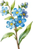 AI generated Watercolor paintings of Wood forget-me-not flowers. Ai-Generated. png