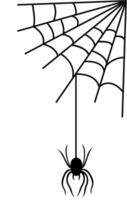 Scary spiderweb of halloween symbol. vector