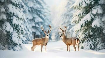 Winter landscape with deers,snow and fir tree. Generative AI photo