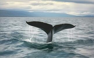 Tail of humpback whale swimming under water of wavy ocean against cloudy sky in Iceland. Generative AI photo