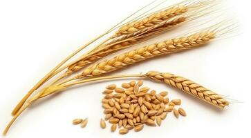 Beautiful Isolation of Wheat Ears and Seeds on a White Background. Generative AI photo