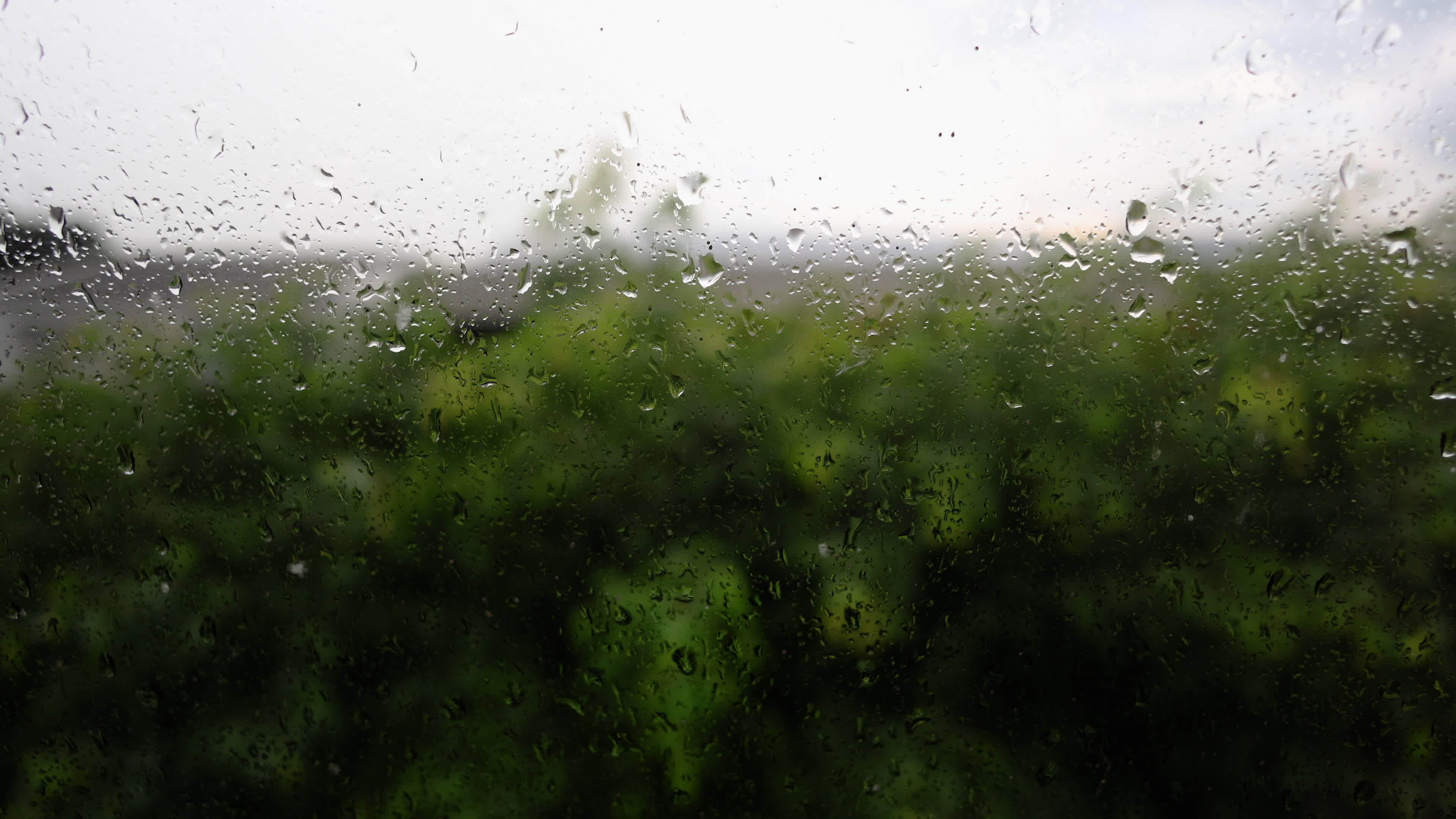 Rain drop on the glass windows. Condensation on the glass in the morning. Drops Water On Glass