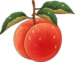 Peach with leaves and water drops. Vector illustration of a peach on a white background.