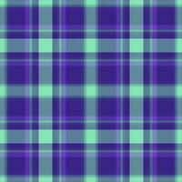 Tartan check plaid of textile seamless pattern with a fabric background texture vector. vector