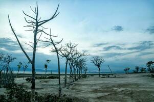 Sunrise at Gili Ketapang Island, Probolinggo, Indonesia photo