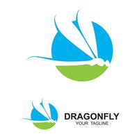 Dragonfly illustration icon design template vector photo