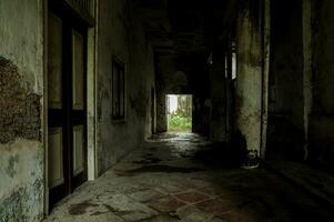 the hallway of an empty house that has been left in a state of disrepair photo