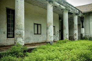 the front yard of an empty house that has been left in a state of disrepair and unkempt photo