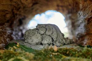 Cute sleeping hedgehog family statue Inside wooden log near green moss photo