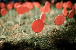 Red lollipops on stick against green grass, outdoor land art objects for environmental concept photo