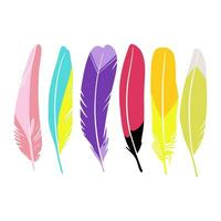 Set of multicolored feathers. Hand-drawn vector images