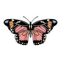 Beautiful butterfly. Vector hand drawn illustration. Graphic element for posters, print, fashion design, wrapping paper