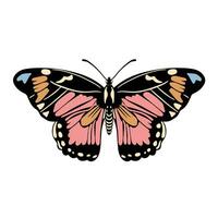 Beautiful butterfly. Vector hand drawn illustration. Graphic element for posters, print, fashion design, wrapping paper