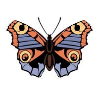 Beautiful butterfly. Vector hand drawn illustration. Graphic element for posters, print, fashion design, wrapping paper