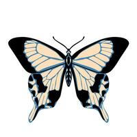 Beautiful butterfly. Vector hand drawn illustration. Graphic element for posters, print, fashion design, wrapping paper