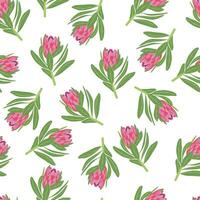 Protea flowers pattern. Seamless floral background. Repeating botanical print with blooms for wallpaper and wrapping. Delicate flora texture. Colored flat vector illustration