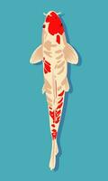 Koi fish. Vector illustration in flat style