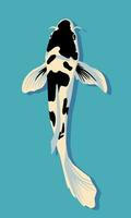 Koi fish. Vector illustration in flat style