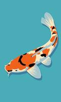 koi pez. vector ilustración en plano estilo