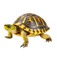 AI generated Cute baby turtle clip art png