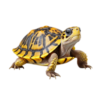 ai généré mignonne bébé tortue agrafe art png