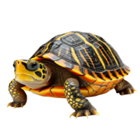 AI generated Cute baby turtle clip art png