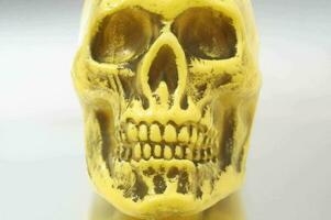 a yellow skull with a black face photo