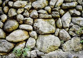 a stone wall with many rocks and plants photo