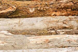 a pile of logs with some wood on top photo