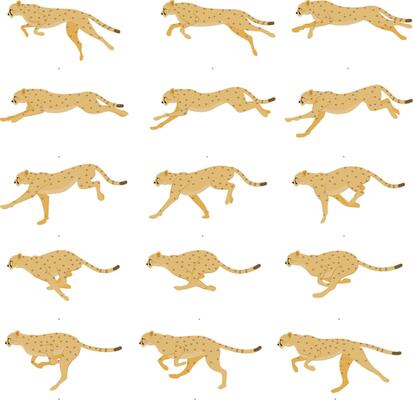 Cheetah - Runing- Animation Spritesheet, realistic animation, animal animation.
