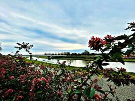 the weather in the morning with a view of a small river and slightly shy sunlight photo