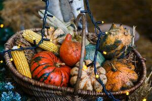 Pumpkins stand at the fair photo