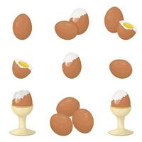 A set of boiled chicken eggs. The eggs are peeled and in the shell, on a stand. Vector illustration