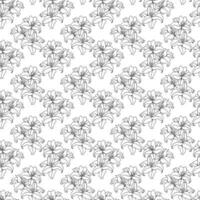 Seamless Pattern With Drawn Lilies vector