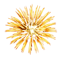 Fireworks png file