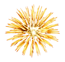 fuochi d'artificio png file