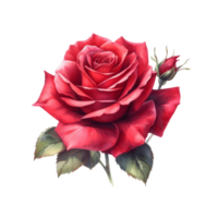 AI generated Red rose designed background png