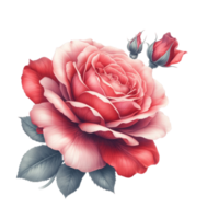 AI generated Red rose designed background png