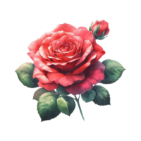 AI generated Red rose designed background png