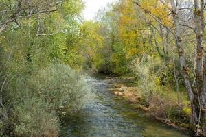 aéreo ver con bosque y río en otoño colores foto