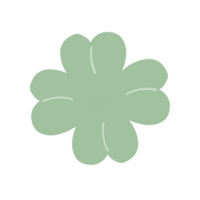 Four Leaf Clover Lucky Plant Cartoon illustration png