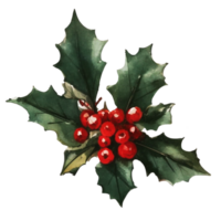 AI generated Christmas Botanicals Capturing Holly and Berries in Watercolor png