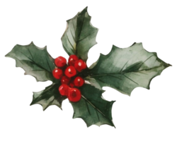 AI generated Christmas Botanicals Capturing Holly and Berries in Watercolor png