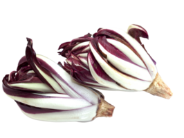 trévise radicchio boîte png