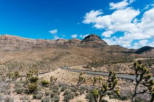 Desierto la carretera en Arizona rodeado por suculento plantas foto