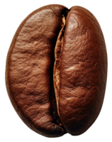 AI generated coffee bean isolated on transparent background png